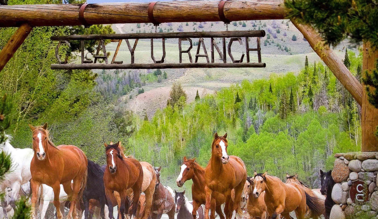 c_lazy_u_ranch_colorado_7