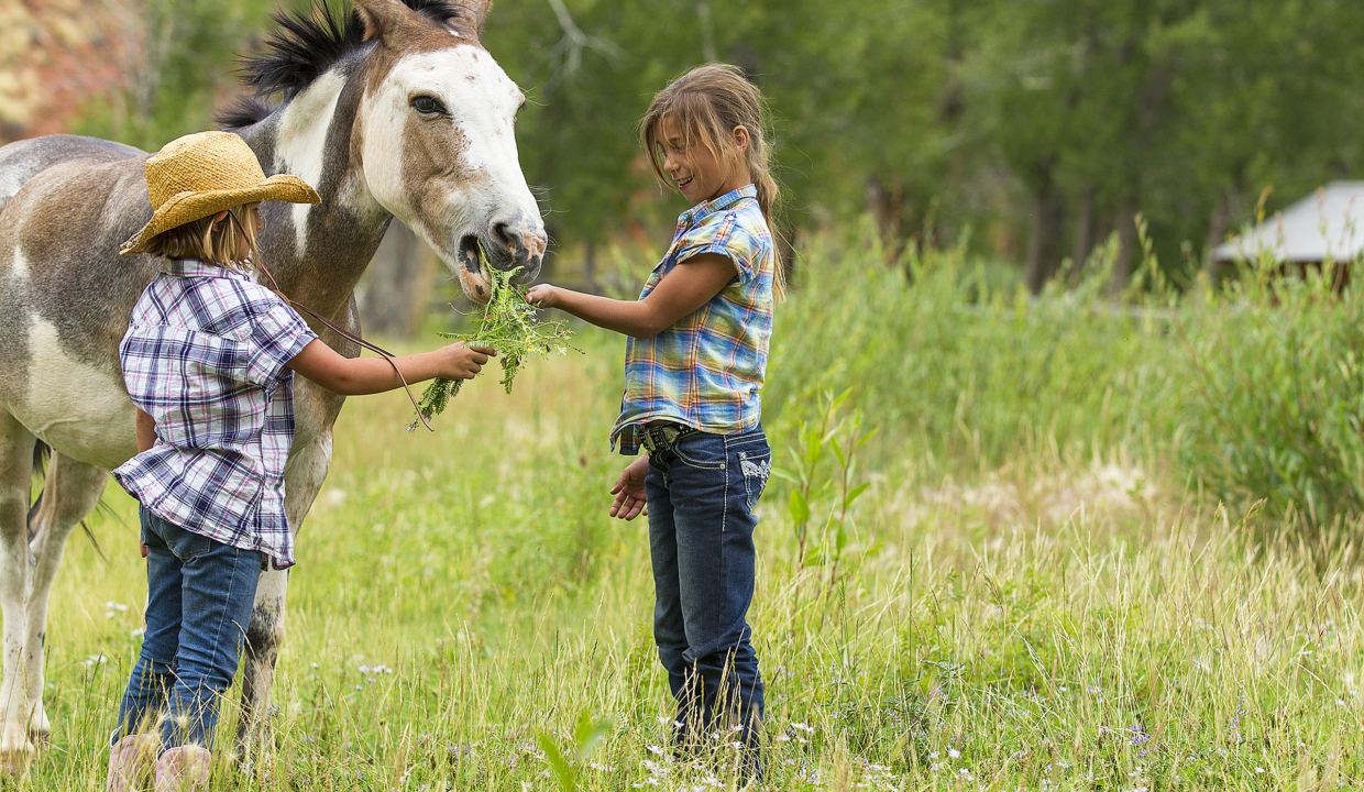 Children enjoy ranch activities at the Lazy L & B Ranch, Dubois, Wyoming