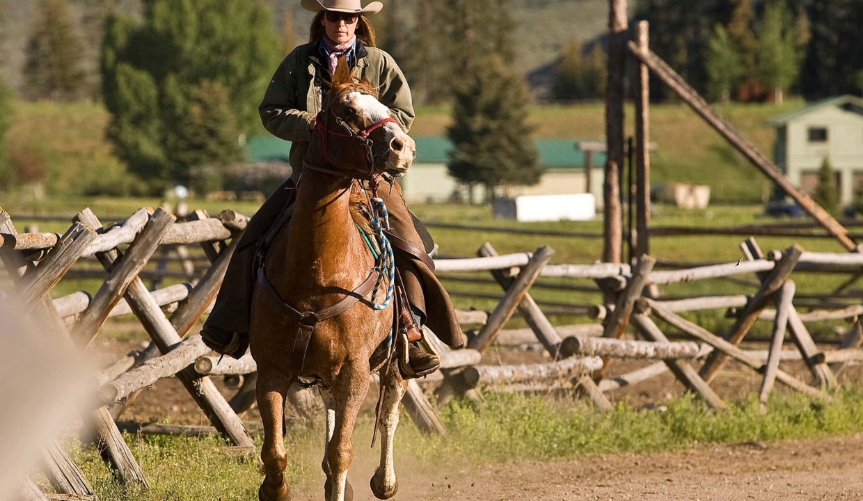 spotted_horse_ranch_wyoming_12