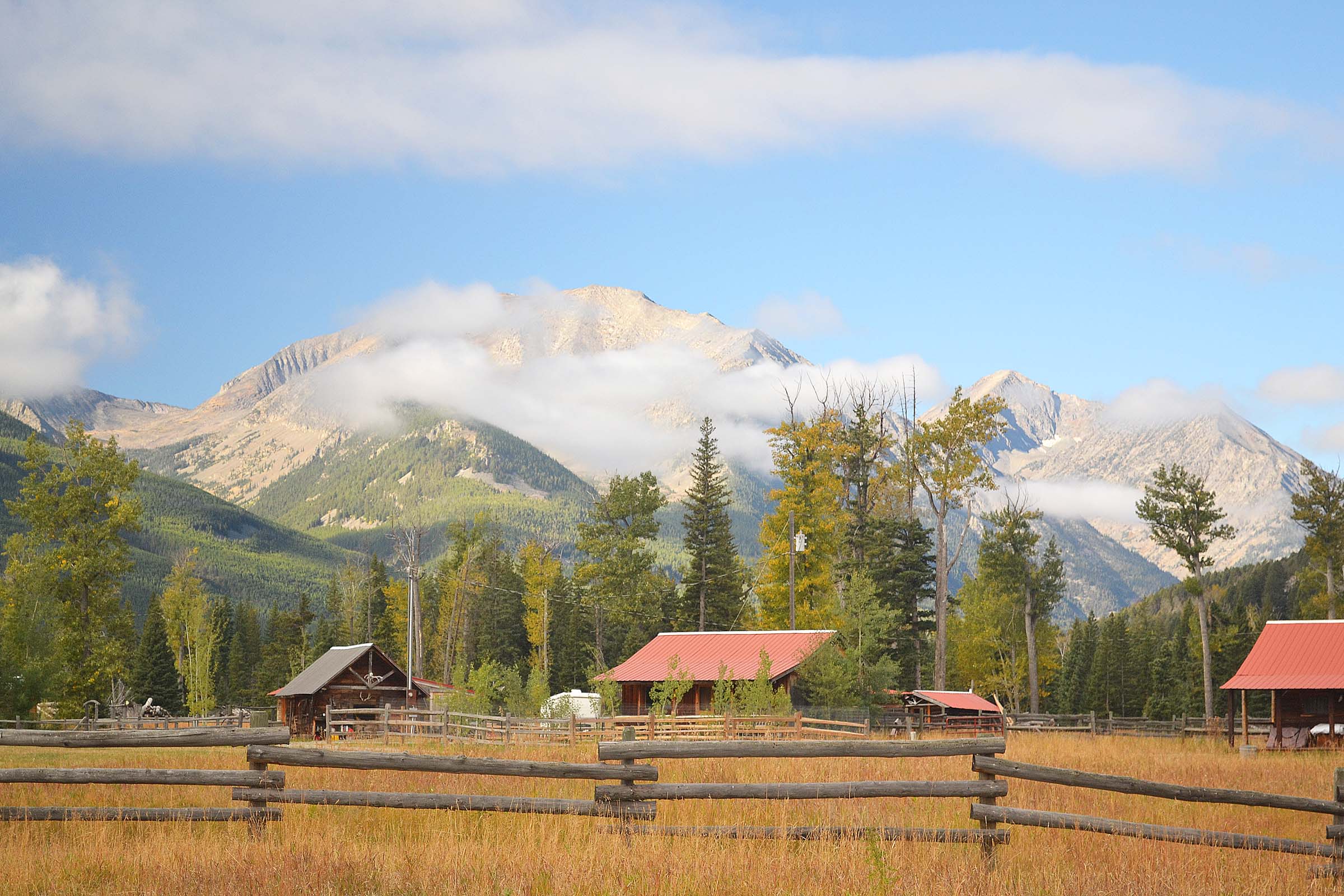 Sweet Grass Braid — Yellowstone Pawn & Trade Billings Montana