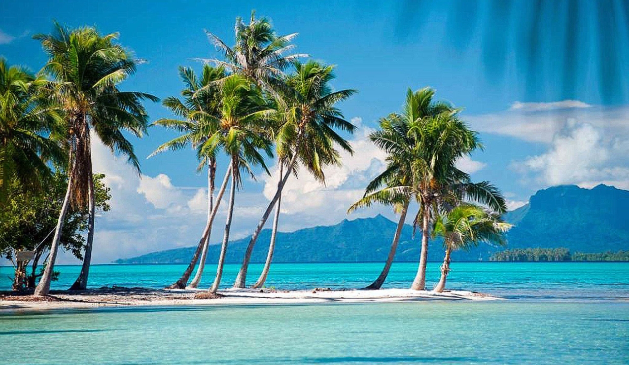 vahine_island_french_polynesia_19